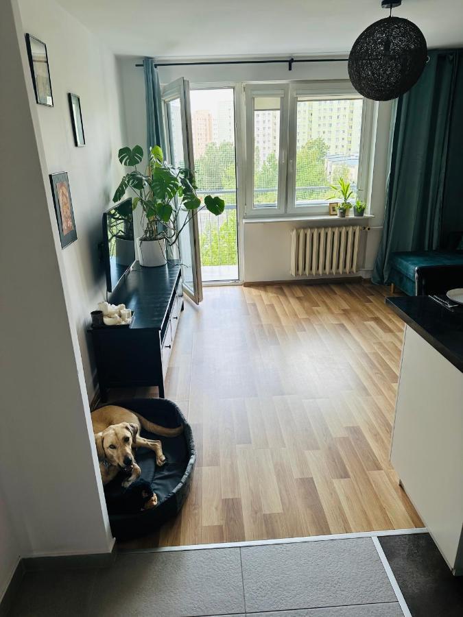 Pet'S House Warsaw Apartamento Exterior foto